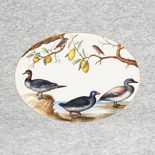 Three Waterfowl with Two Birds Perched in Citrus Trees (1575–1580) by WAITE-SMITH VINTAGE ART